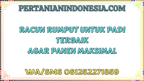 Racun Rumput Untuk Padi Terbaik Agar Panen Maksimal